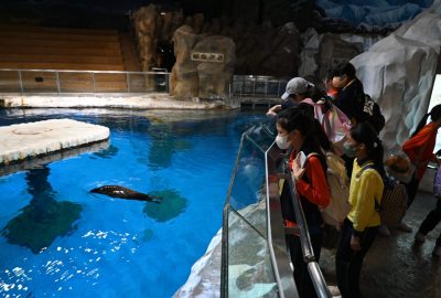 imgi_28_DSC_1794-scaled