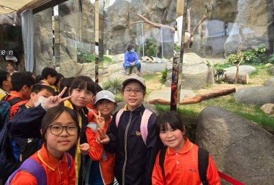 imgi_11_20250324_121800-scaled