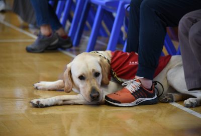 imgi_10_DSC_6409-scaled