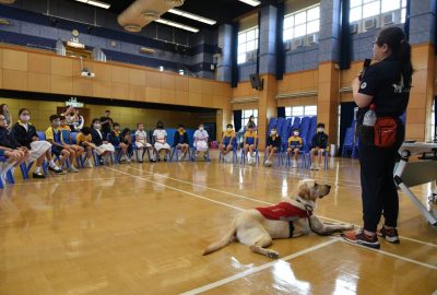 imgi_12_DSC_6439-scaled