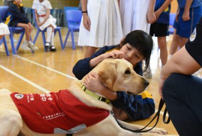 imgi_17_DSC_6493-scaled