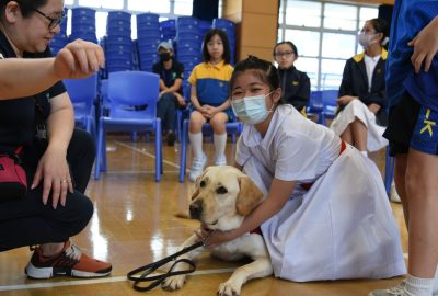 imgi_19_DSC_6501-scaled