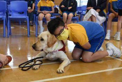 imgi_22_DSC_6508-scaled