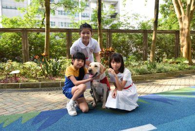 imgi_45_DSC_6695-scaled