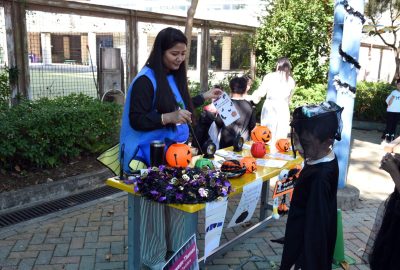 imgi_25_Copy-of-DSC_2311-scaled