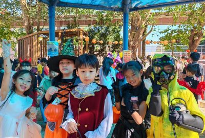 imgi_47_Copy-of-IMG_20241031_095314-scaled