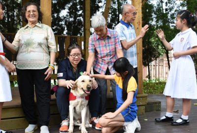 imgi_41_DSC_6659-scaled