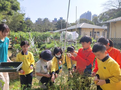 P.4 Life Skills Training Camp