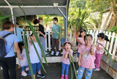 imgi_10_20231104_102531-scaled