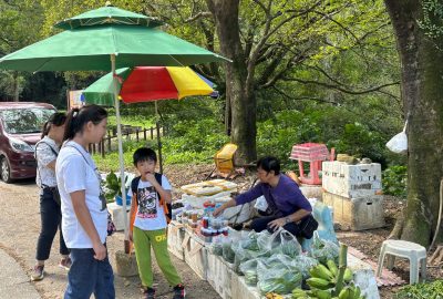 imgi_24_IMG_7477-scaled