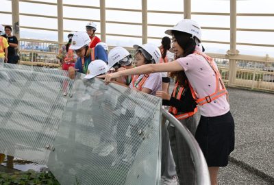 imgi_18_DSC_0136-scaled